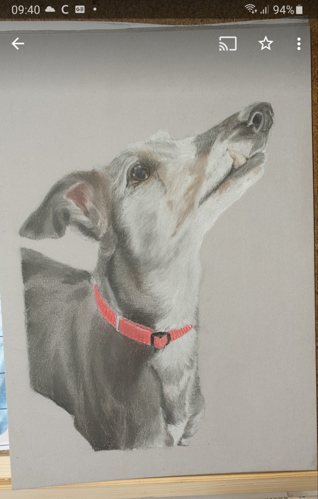 Close-up pastel portrait of a sighthound looking upward, red collar against cool grey Pastelmat